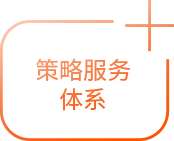 策略服务体系